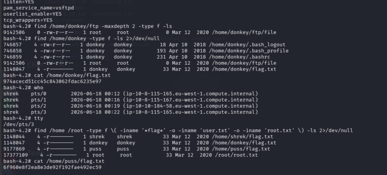 cat output showing all four flag values for shrek, donkey, puss, and root